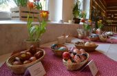 DSC_0712.JPG