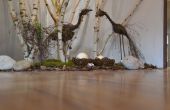 DSC_0619.JPG