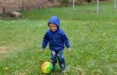 IMG-20250923-WA0006.jpg