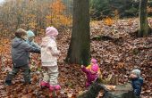 IMG-20251112-WA0008.jpg